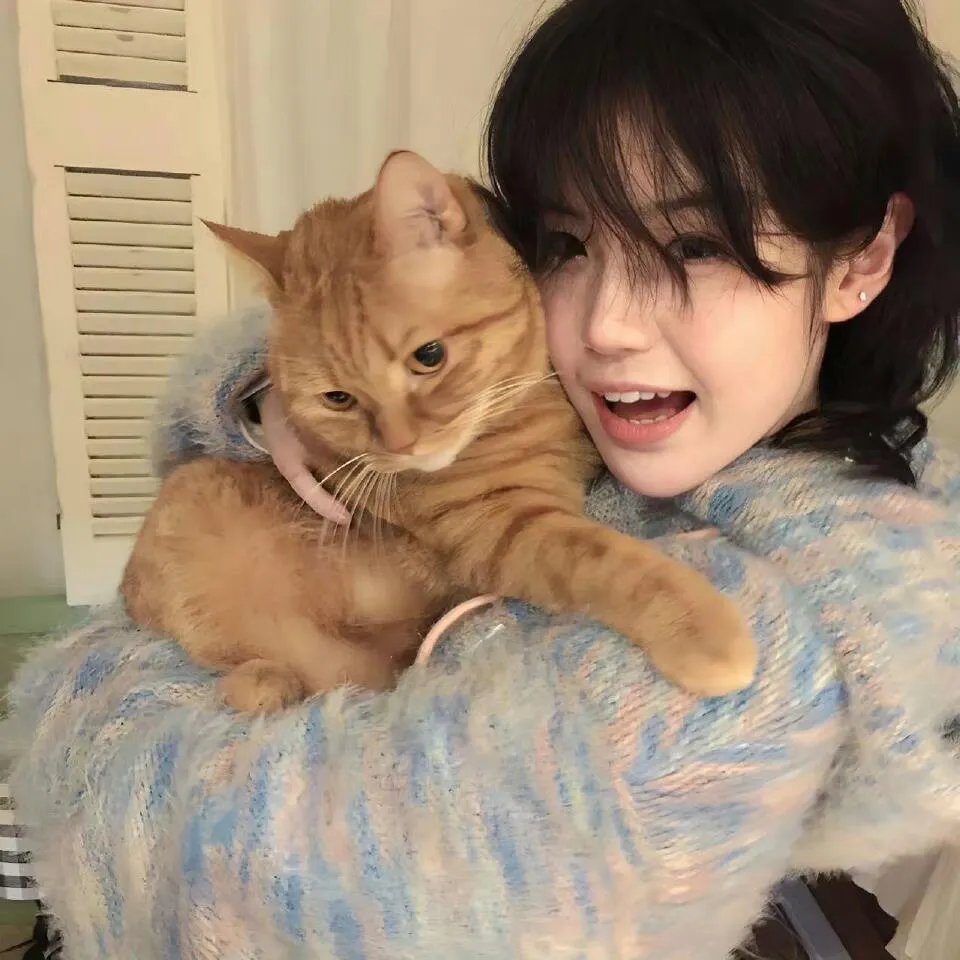 护照